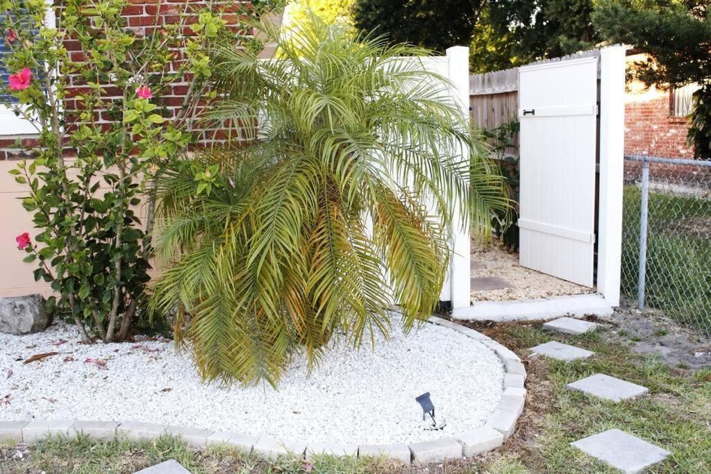 Torres Tiny Home Midtown Westtampa Rjs Extérieur photo